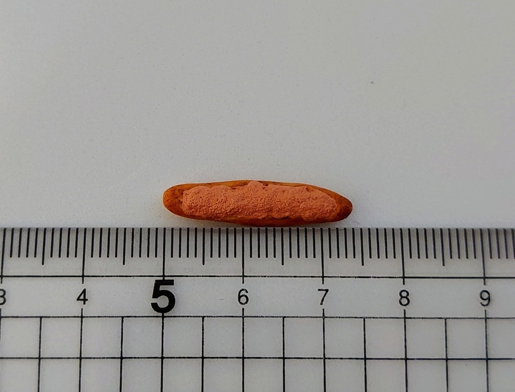 めんたいフランス