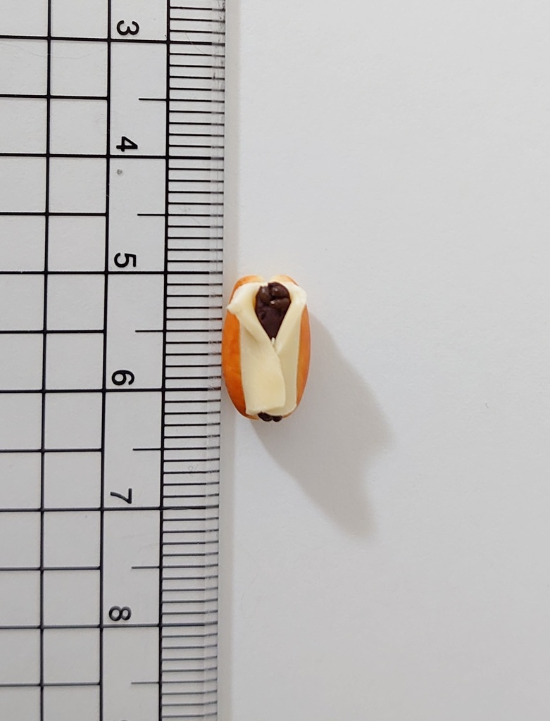 バターあんコッペ