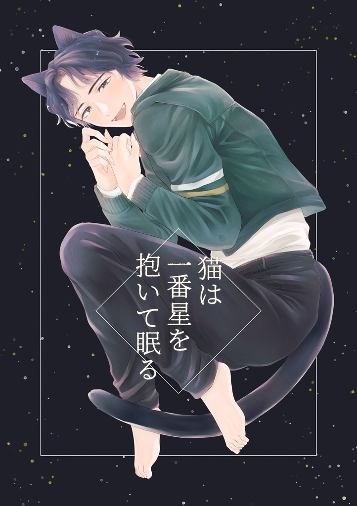 龍信『猫は一番星を抱いて眠る』