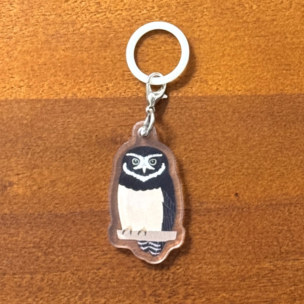 【シリーズ累計販売数100個突破🦉✨】メガネフクロウアンブレラマーカー Spectacled owl umbrella marker(mini acrylic charm)