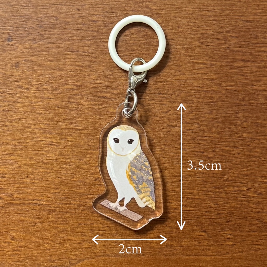 【シリーズ累計販売数100個突破🦉✨】メンフクロウ アンブレラマーカー/ Barn owl umbrella marker(mini acrylic charm)
