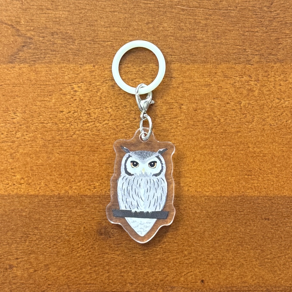 【シリーズ累計販売数100個突破🦉✨】アフリカオオコノハズクのアンブレラマーカー Northern white-faced owl Umbrella marker(mini acrylic charm)