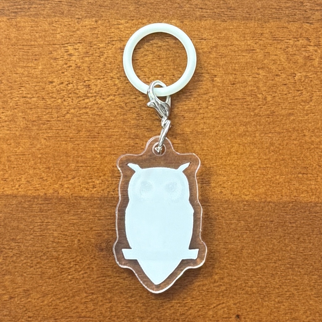 【シリーズ累計販売数100個突破🦉✨】アフリカオオコノハズクのアンブレラマーカー Northern white-faced owl Umbrella marker(mini acrylic charm)