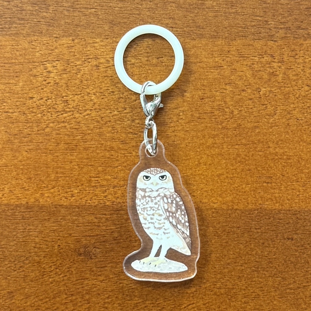 【シリーズ累計販売数100個突破🦉✨】アナホリフクロウのアンブレラマーカー Burrowing owl umbrella marker(mini acrylic charm)