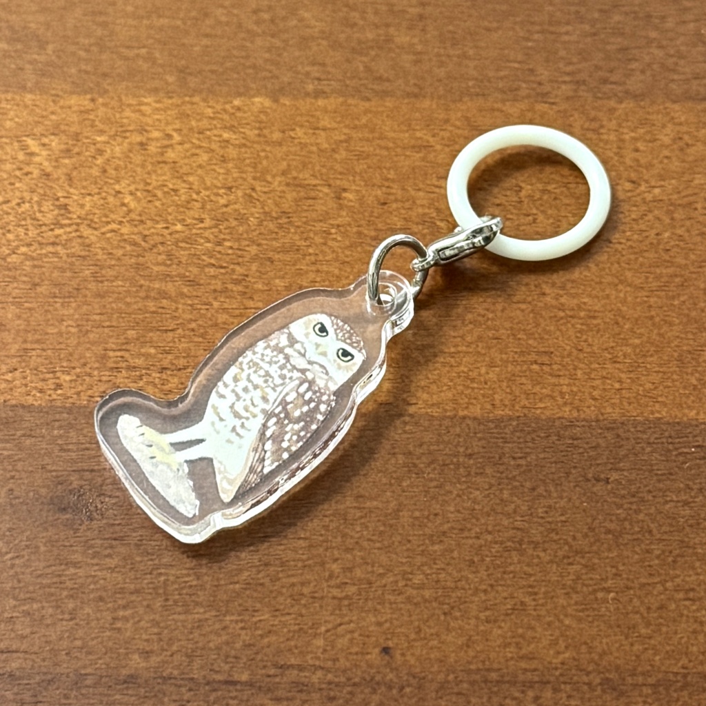 【シリーズ累計販売数100個突破🦉✨】アナホリフクロウのアンブレラマーカー Burrowing owl umbrella marker(mini acrylic charm)