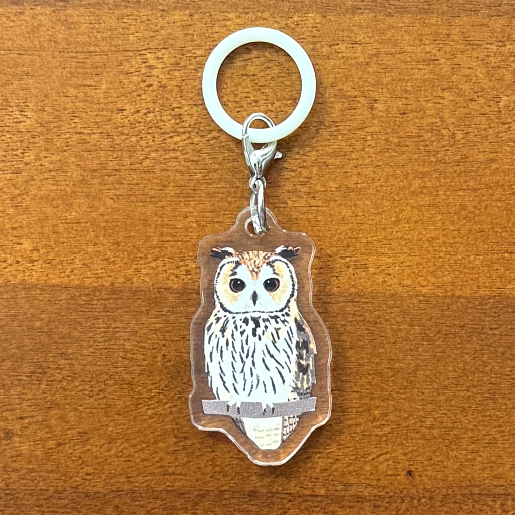 【シリーズ累計販売数100個突破🦉✨】ウサギフクロウのアンブレラマーカー Striped owl Umbrella marker(mini acrylic charm)