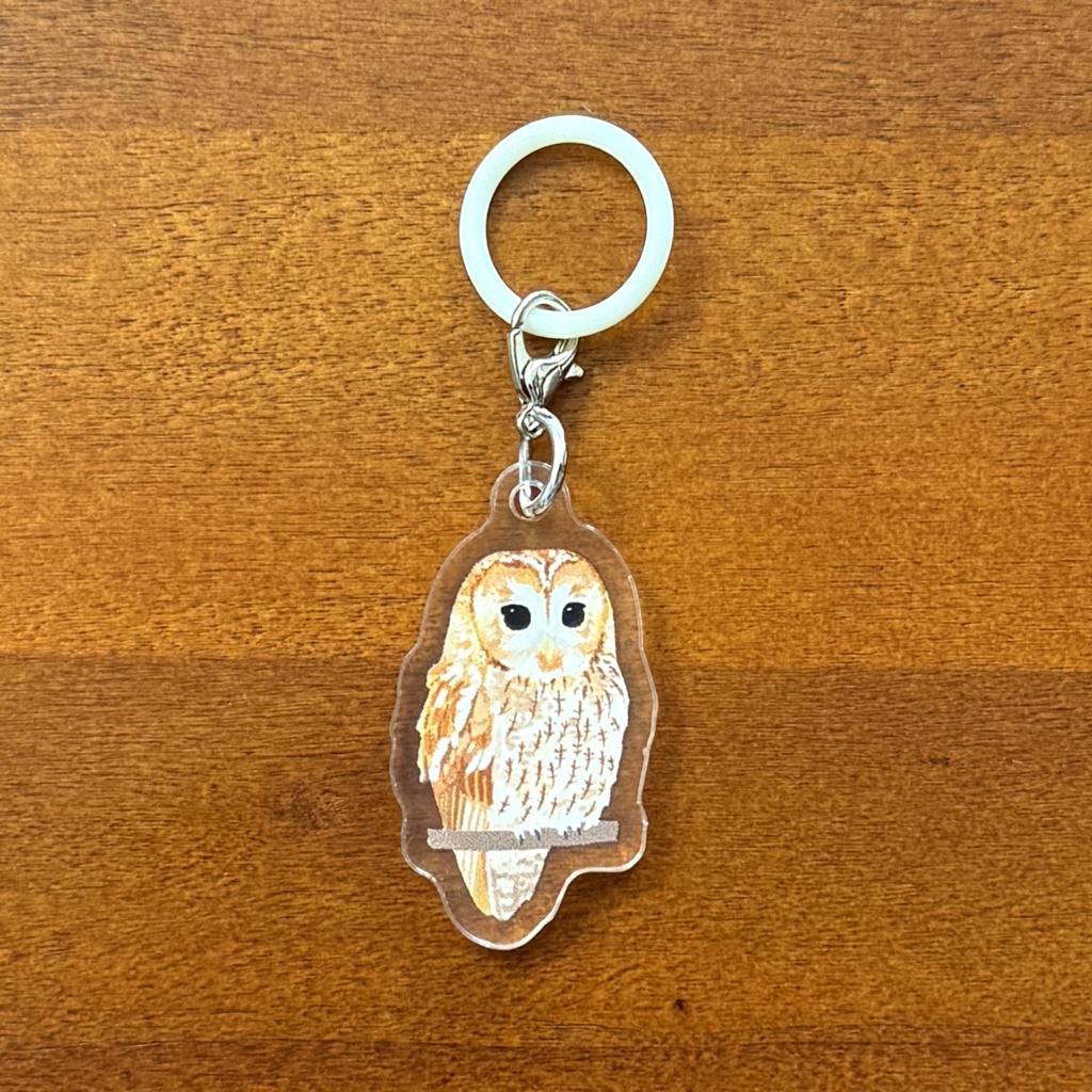 【シリーズ累計販売数100個突破🦉✨】モリフクロウのアンブレラマーカ Tawny owl umbrella marker(mini acrylic charm)