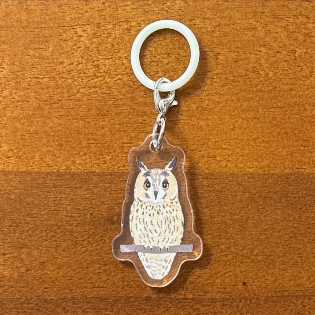 【シリーズ累計販売数100個突破🦉✨】トラフズクのアンブレラマーカー Long-eared owl Umbrella marker(mini acrylic charm)
