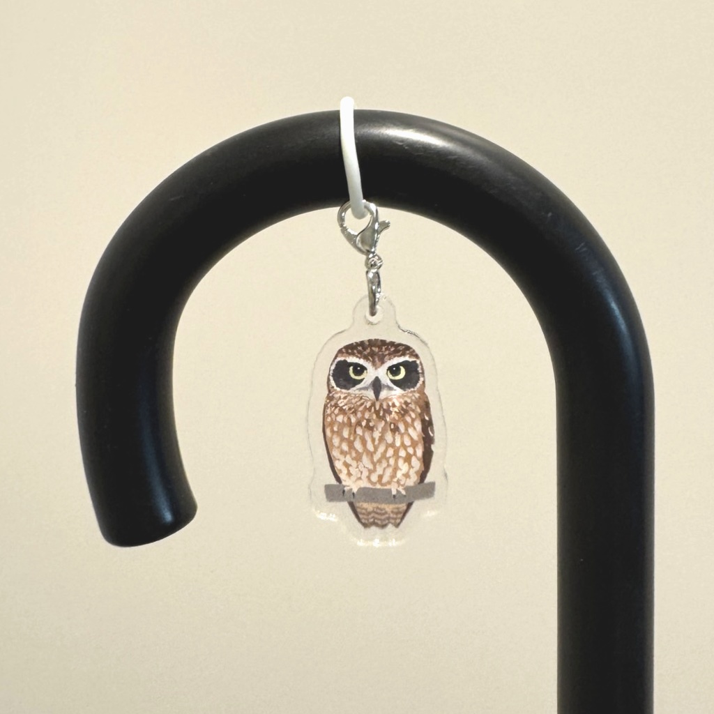 【シリーズ累計販売数100個突破🦉✨】ニュージーランドアオバズクのアンブレラマーカー Morepork Umbrella marker(mini acrylic charm)