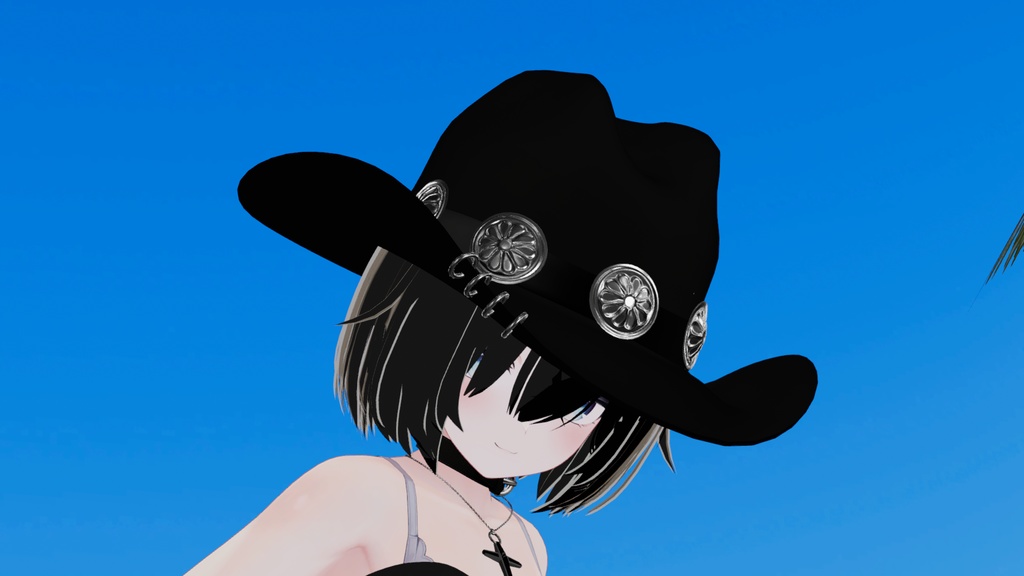 こだわりのカウボーイハット 3Dモデル【VRChat対応】|なめろうのおみせ