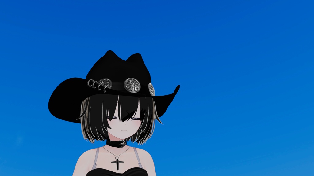 こだわりのカウボーイハット 3Dモデル【VRChat対応】|なめろうのおみせ