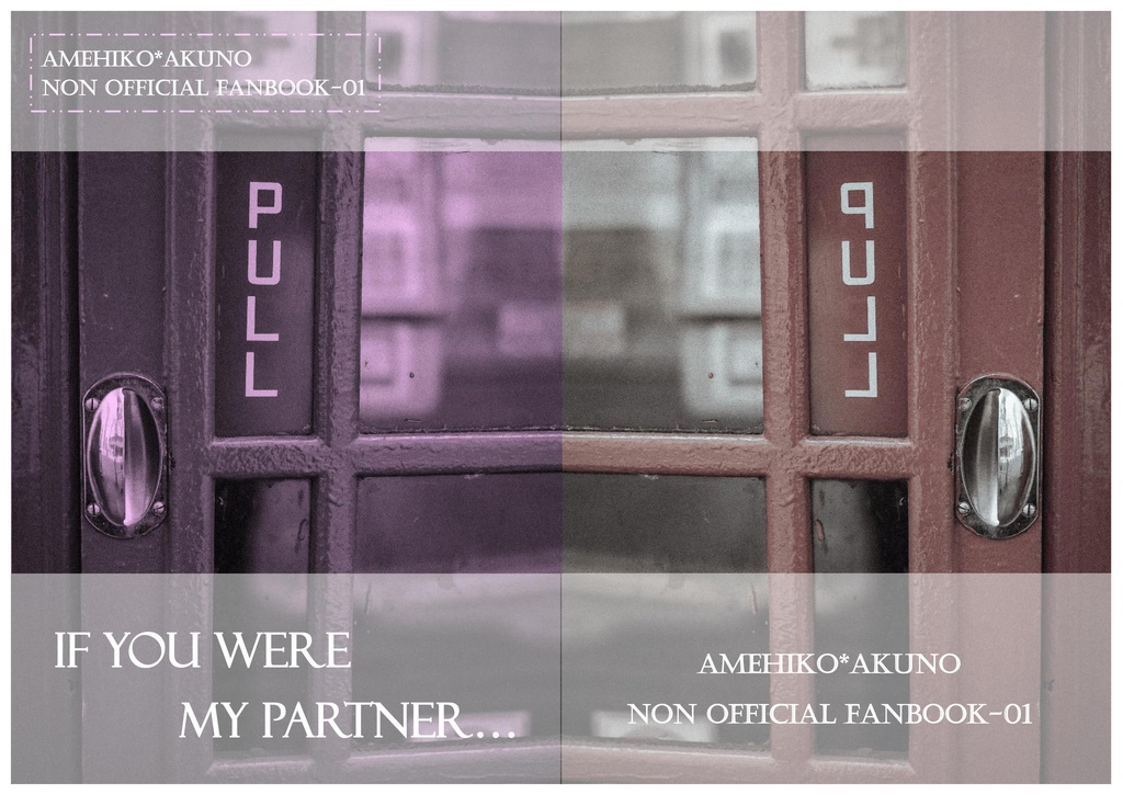 【雨握】IF YOU WERE MY PARTNER...