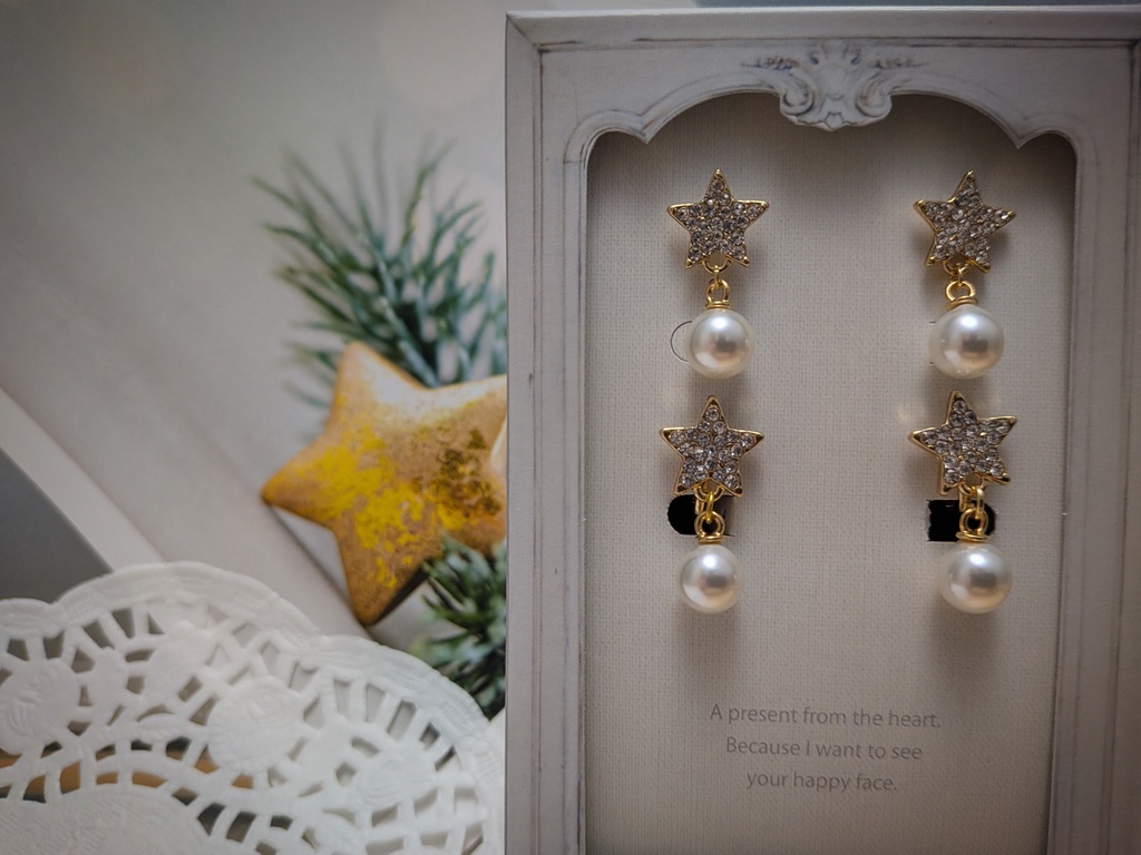 【12/24頒布開始予定】星とパールのピアス/イヤリング
