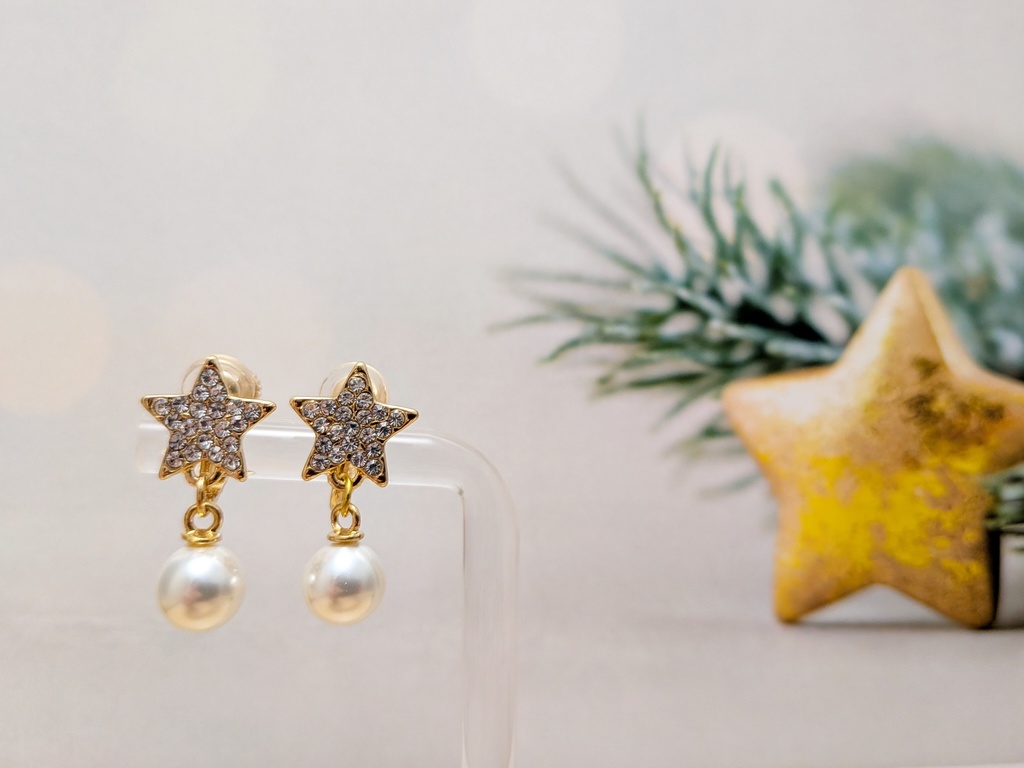 【12/24頒布開始予定】星とパールのピアス/イヤリング
