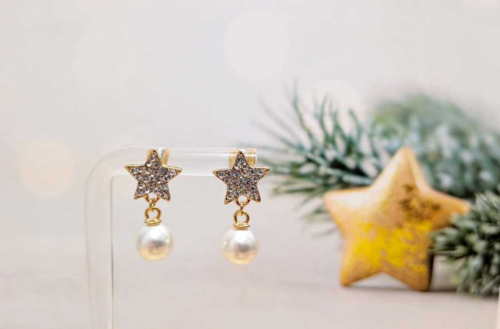 【12/24頒布開始予定】星とパールのピアス/イヤリング