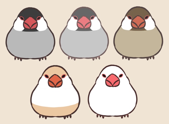 太めの文鳥アイコン