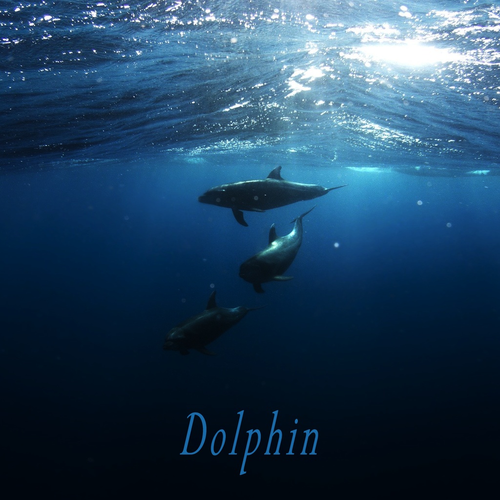 Dolphin - Ichitaro (2015) 著作権フリーBGM