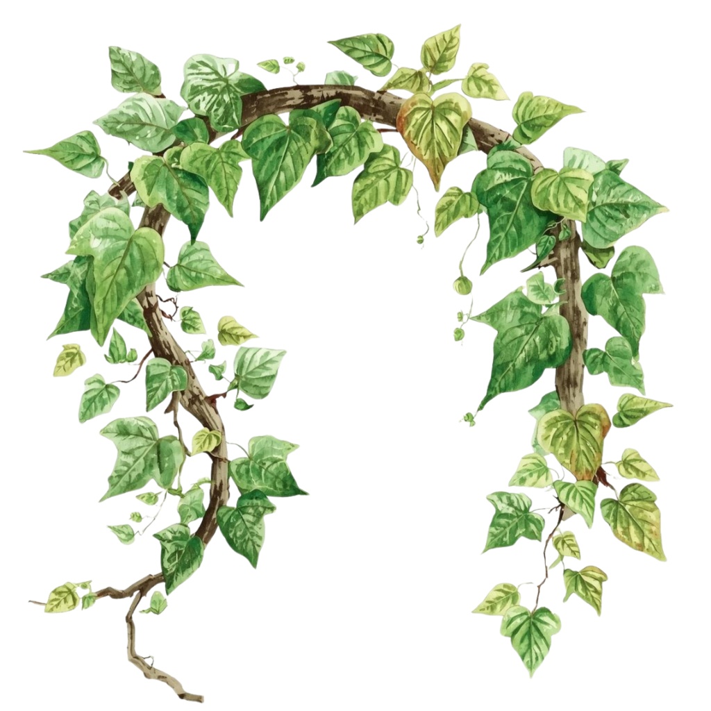 「ボタニカルシリーズ」水彩アンティーク風フローラルクリップアート素材15点セット|PNG形式背景透過