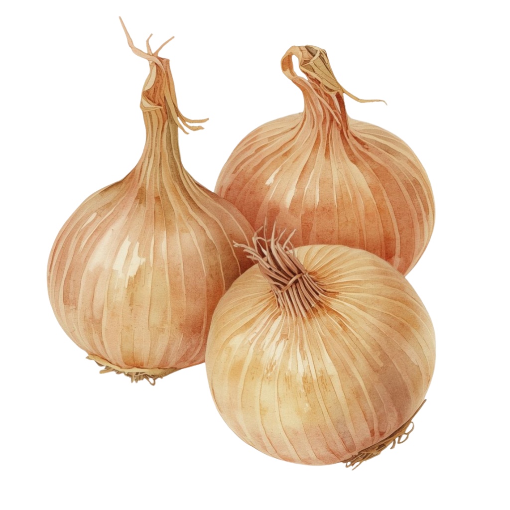 「野菜シリーズ」水彩画風クリップアート素材15点セット|PNG形式背景透過