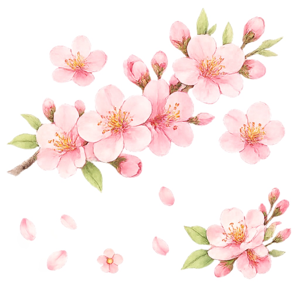 「ひなまつりシリーズ」水彩風イラストクリップアート素材18点セット|PNG形式背景透過