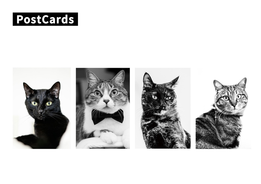 ポストカードセット