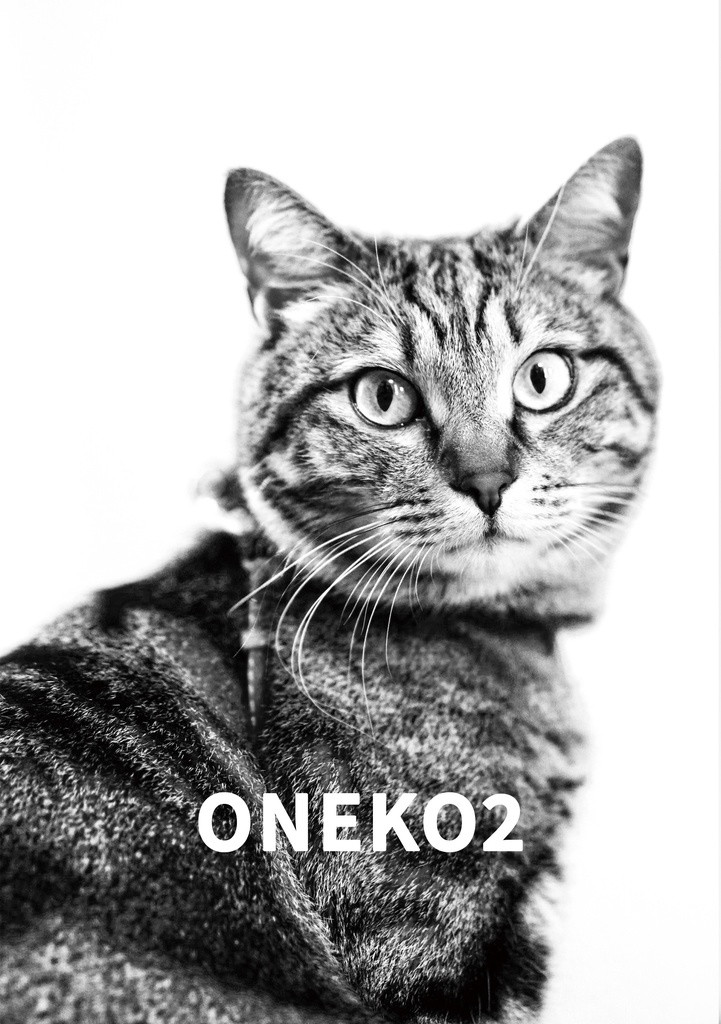 ONEKO 2