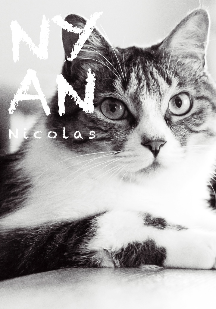 NYAN