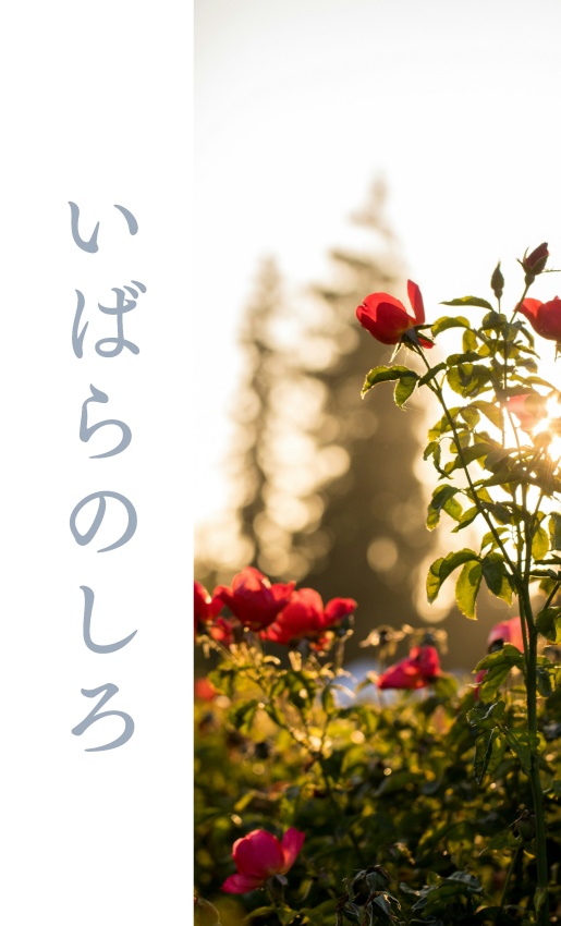 いばらのしろ