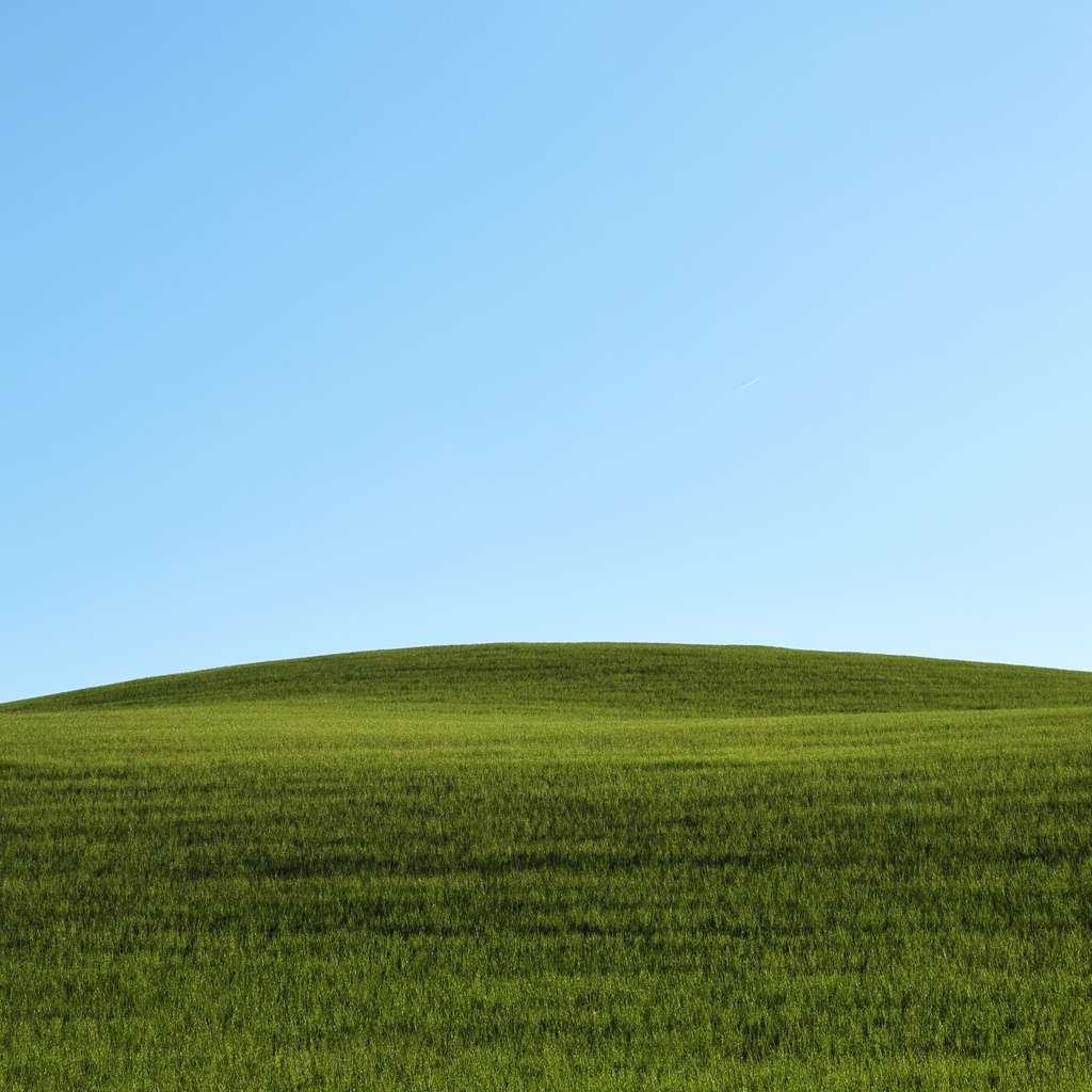 風の丘　（支援用）