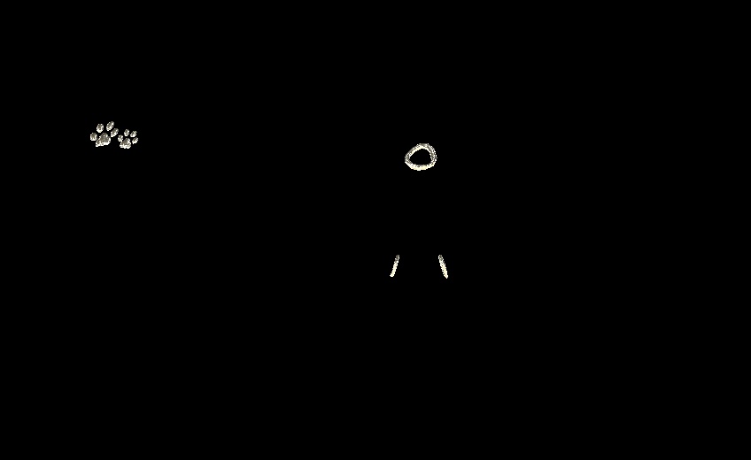 Rurune face piercings