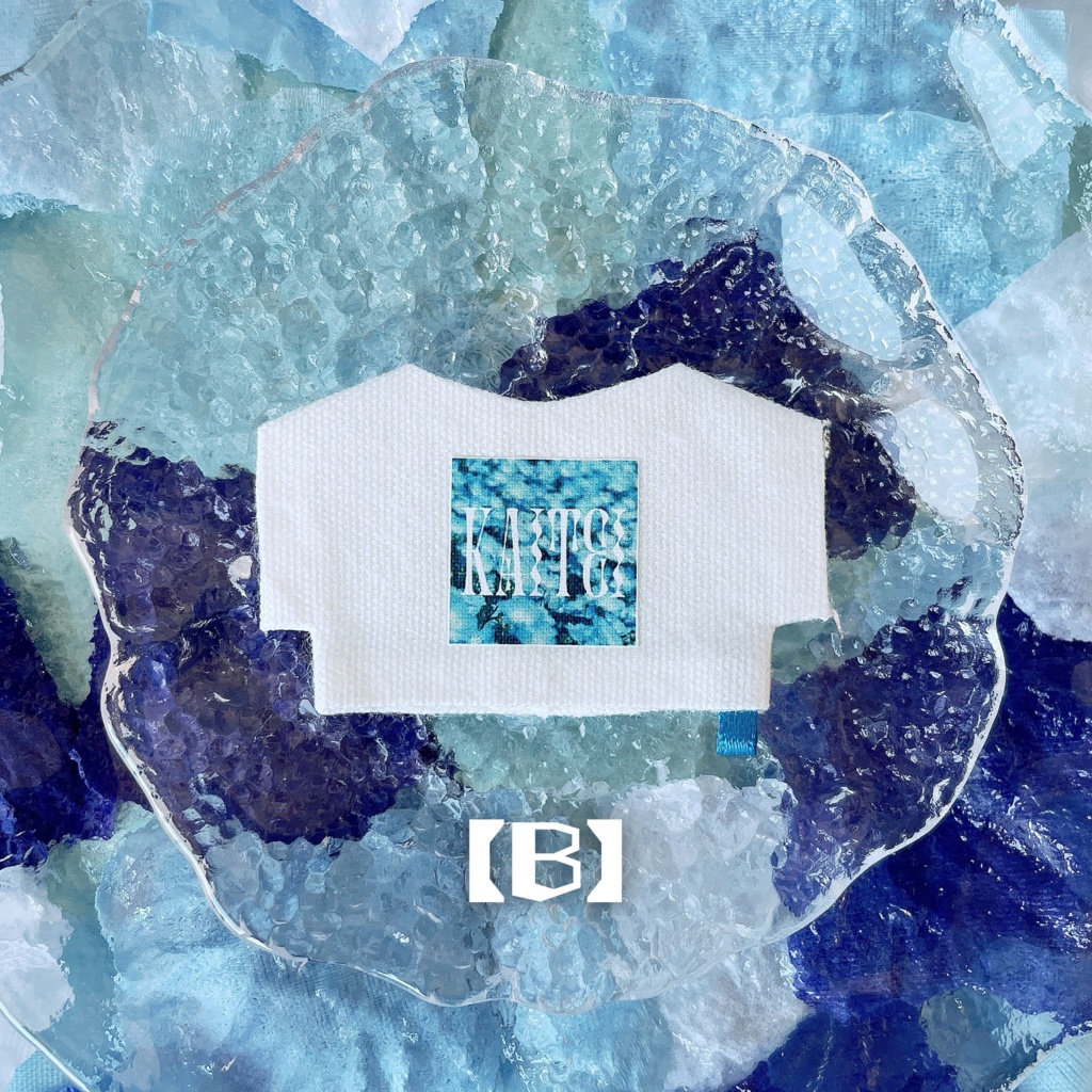 グラフィックロゴTシャツ -ネモフィラ- 【10cmぬい服】