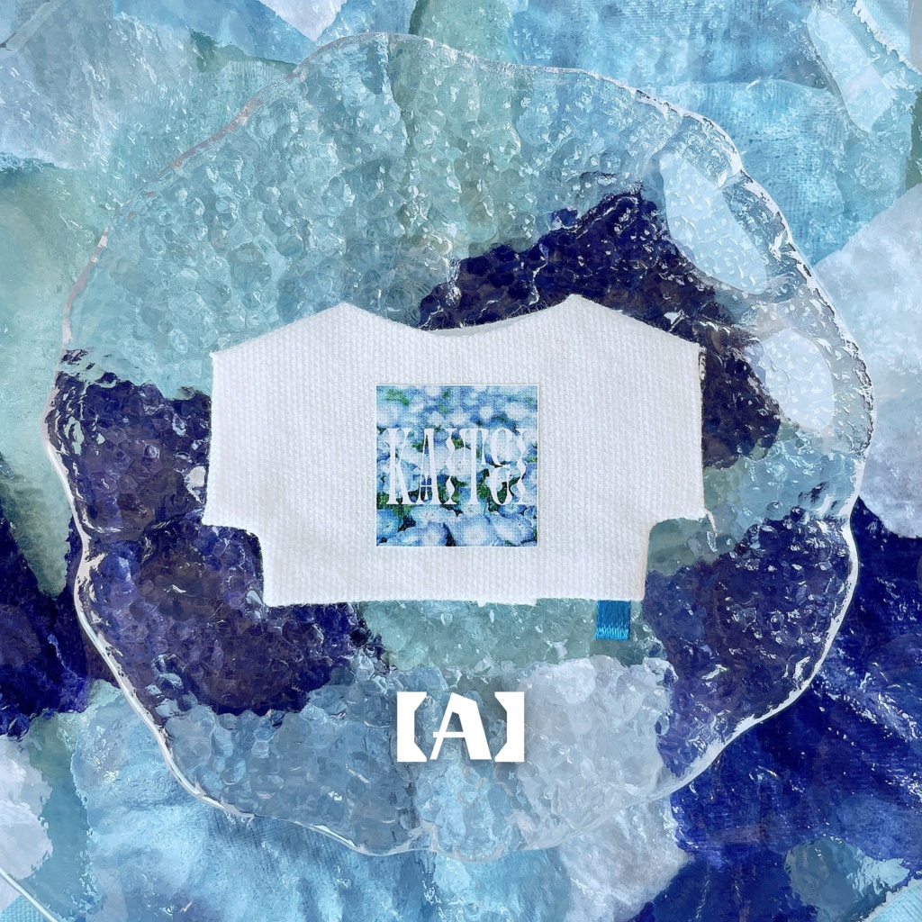 グラフィックロゴTシャツ -ネモフィラ- 【10cmぬい服】