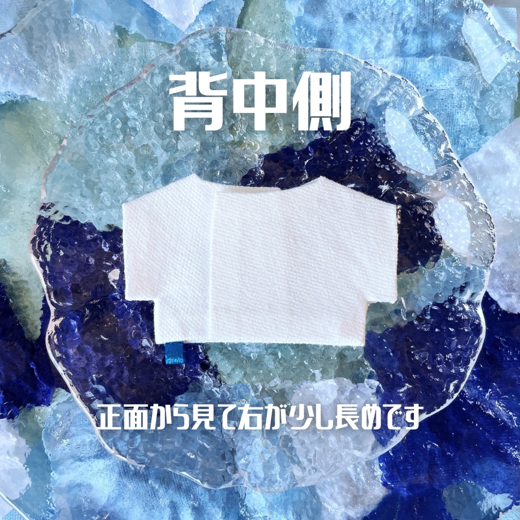 グラフィックロゴTシャツ -ネモフィラ- 【10cmぬい服】