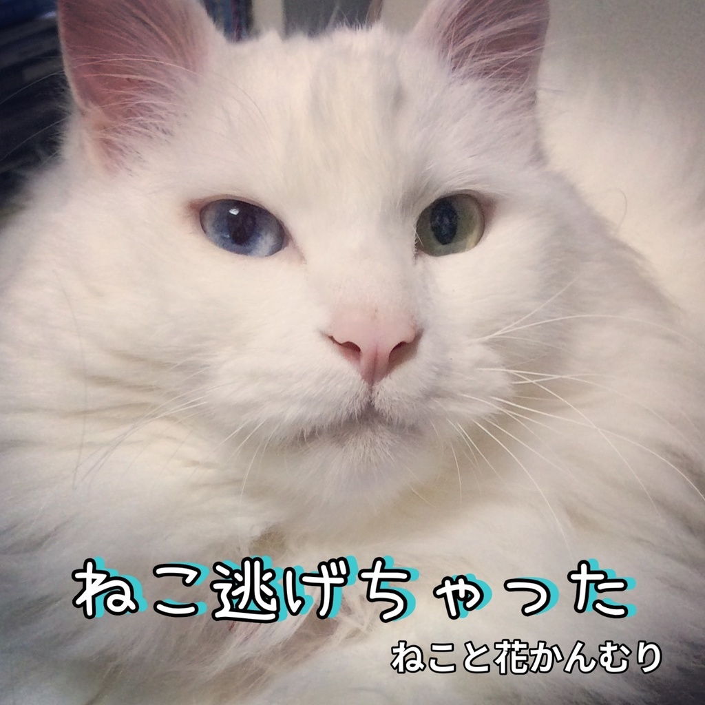 ねこ花03《もうどっか行っちゃいたい/ねこ逃げちゃった》