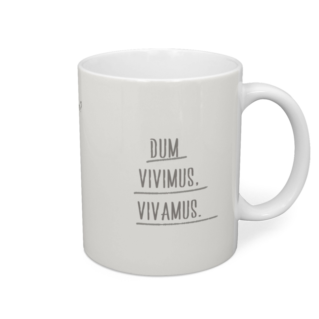 アシュトンサンバマグカップ