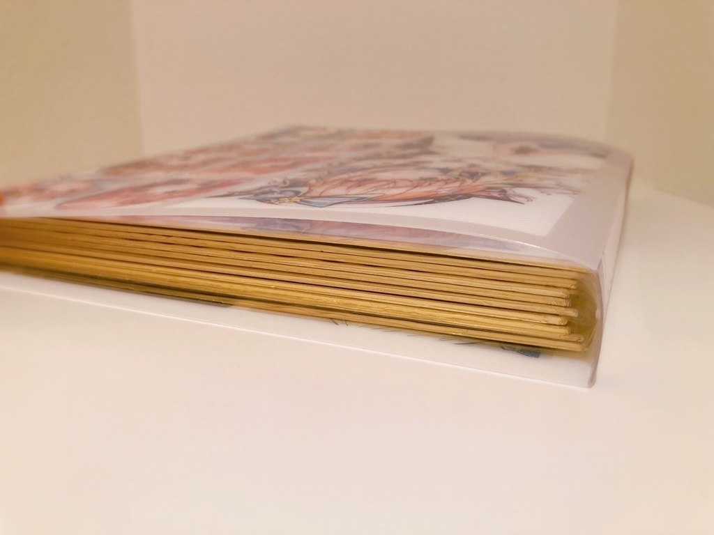 MIZUNEKOTEI色紙コレクションファイル 複製色紙全種類セット版
