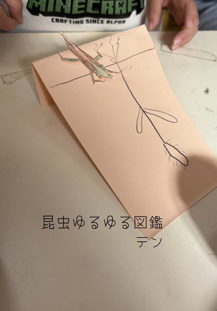 【写真集】テン『昆虫ゆるゆる図鑑』