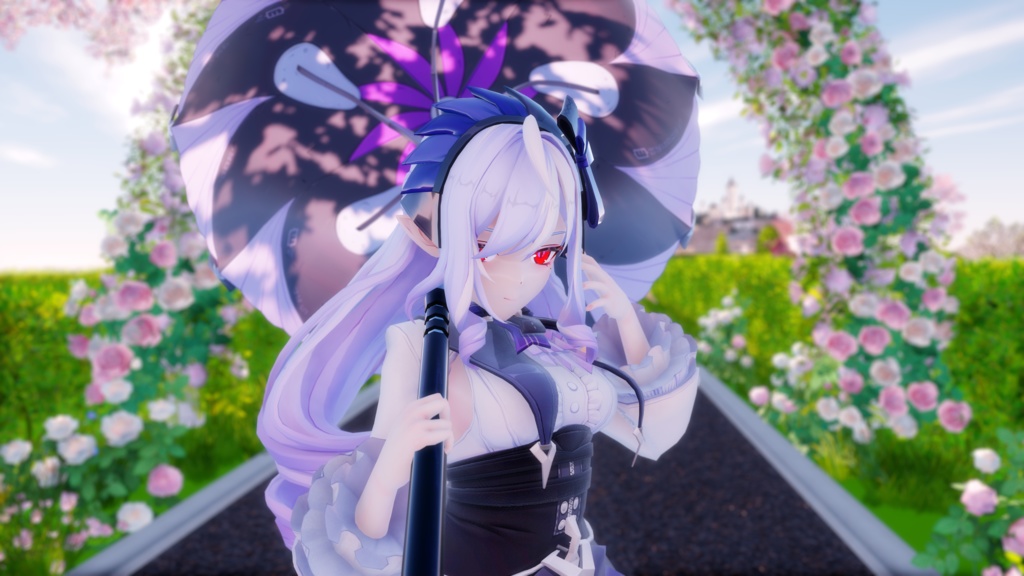 2025 Video Collection package【1-?】