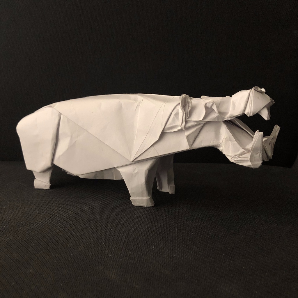 Hippo