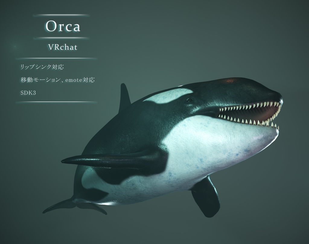 シャチ  3Dモデル