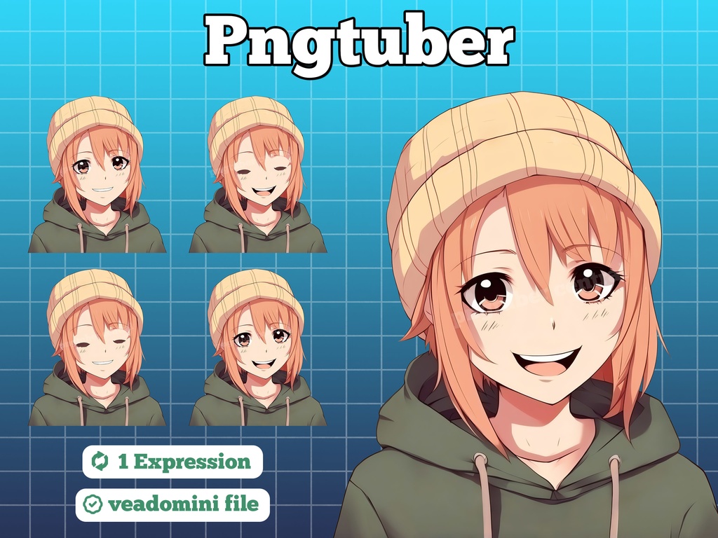 pngtuber, pngtuber premade, pngtuber overlay, pngtuber twitch, pngtuber model, pngtuber assets, beanie girl
