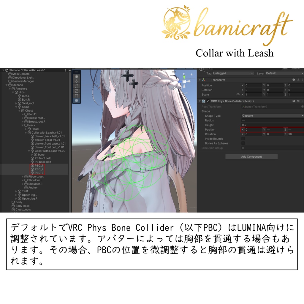 Collar with Leash