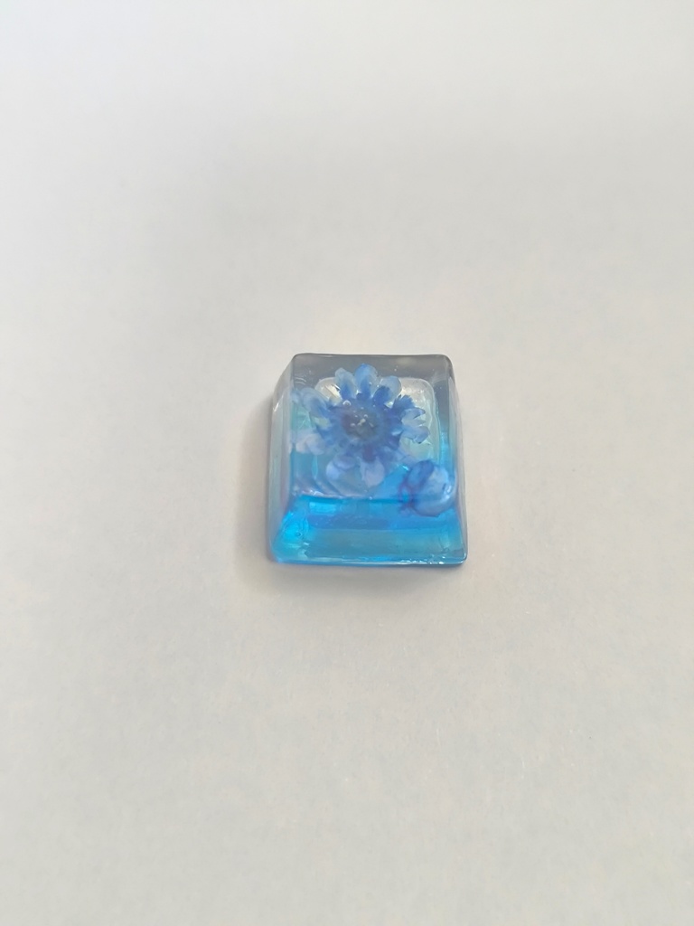 透明感ブルーフラワーキーキャップ