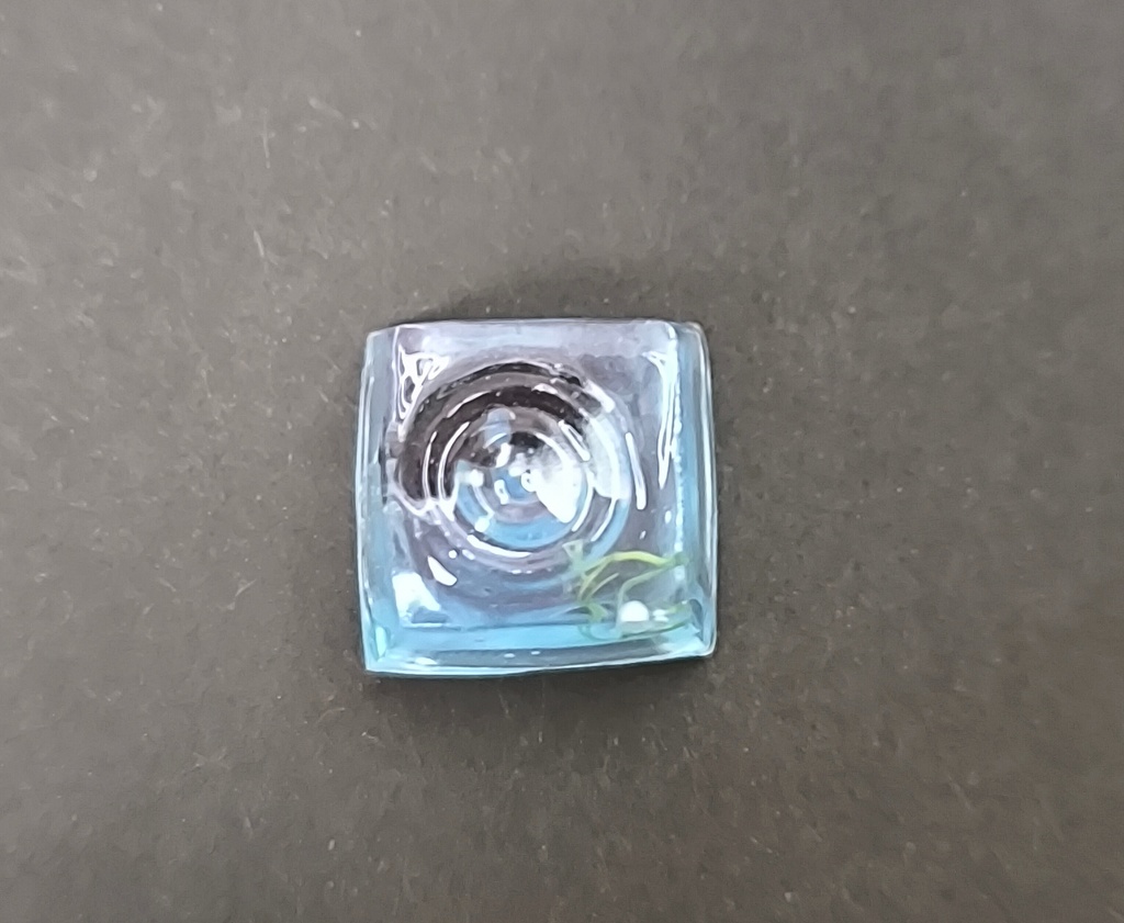 アクアリウムキーキャップ - 泳ぐ金魚