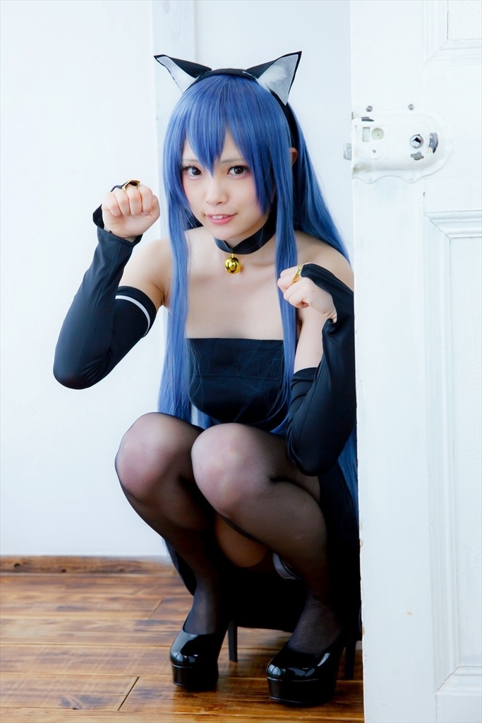 【ROM】ねこのきおく(ブリュンヒルデ)