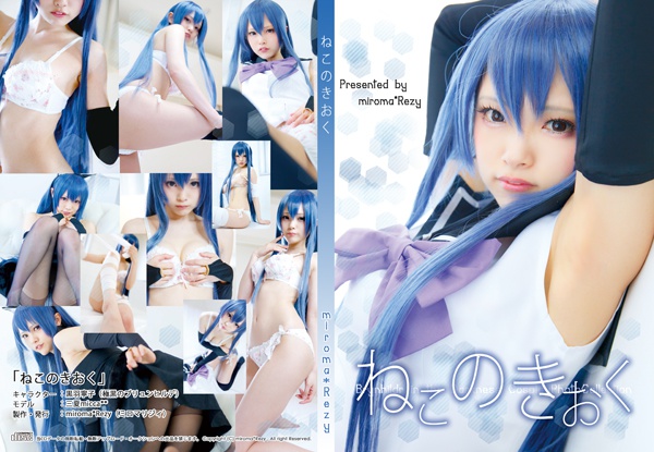 【ROM】ねこのきおく(ブリュンヒルデ)