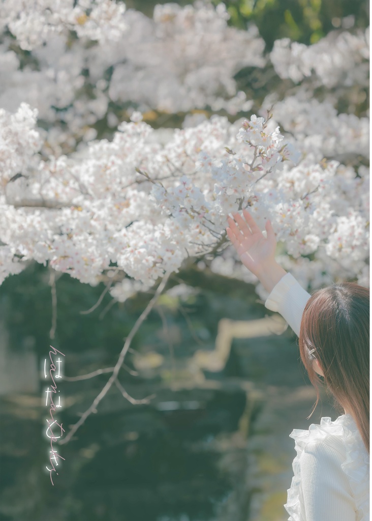 ポートレート写真集「はなとき」