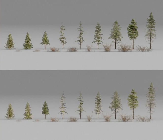 Forest Pack