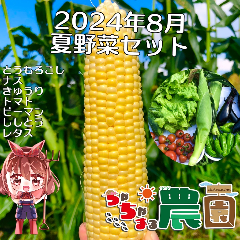 2024年8月 茶々丸農園  夏野菜セット