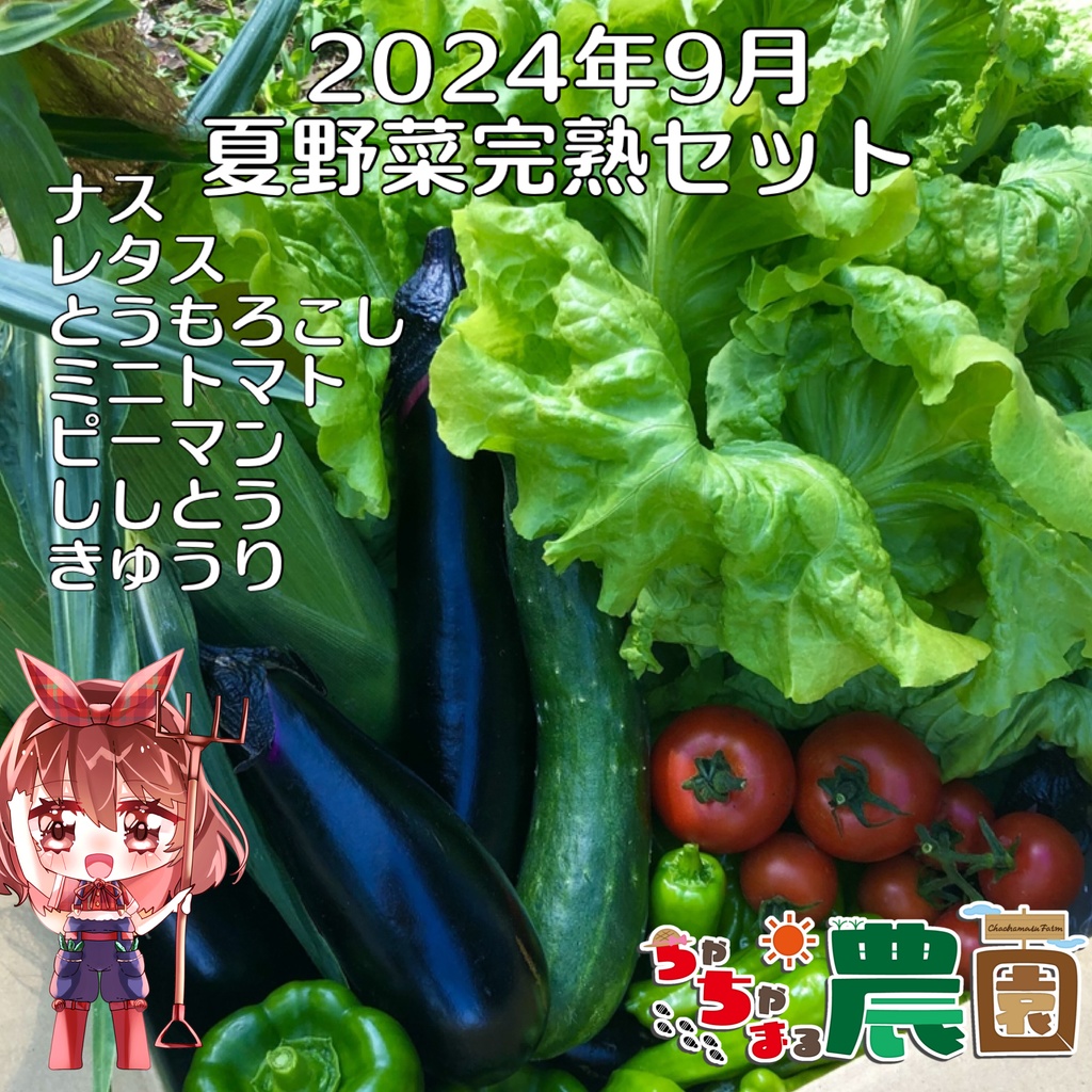 茶々丸農園 9月 完熟夏野菜セット